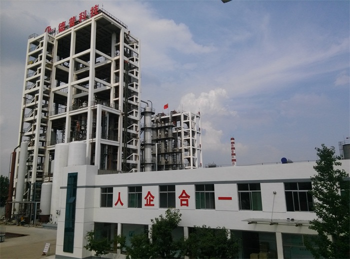  Company View